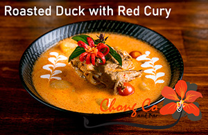 duck_curry